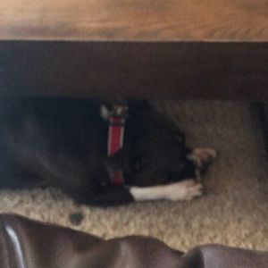 Meet your Posher, Christian